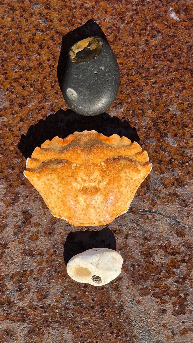 BooksnMagic's tweet photo. An autumn shine and shore and shrine. https://t.co/G6W8vlSvaO