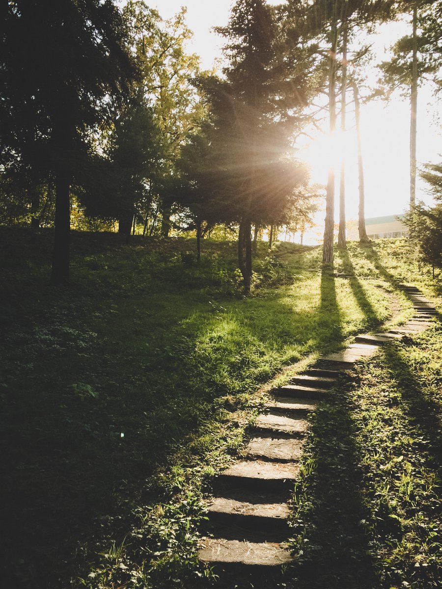 danielw's tweet photo. Gradina Botanica Pathway
Walking around the botanical gardens in Bucharest, Romania.

#landscapephotography #romania https://t.co/n3J7eC77bO