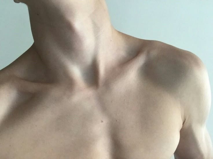 nihilistichawk's tweet photo. .𖥔 ݁ ˖   ✦   ‧₊˚ ⋅ https://t.co/mmyoh3b6i2