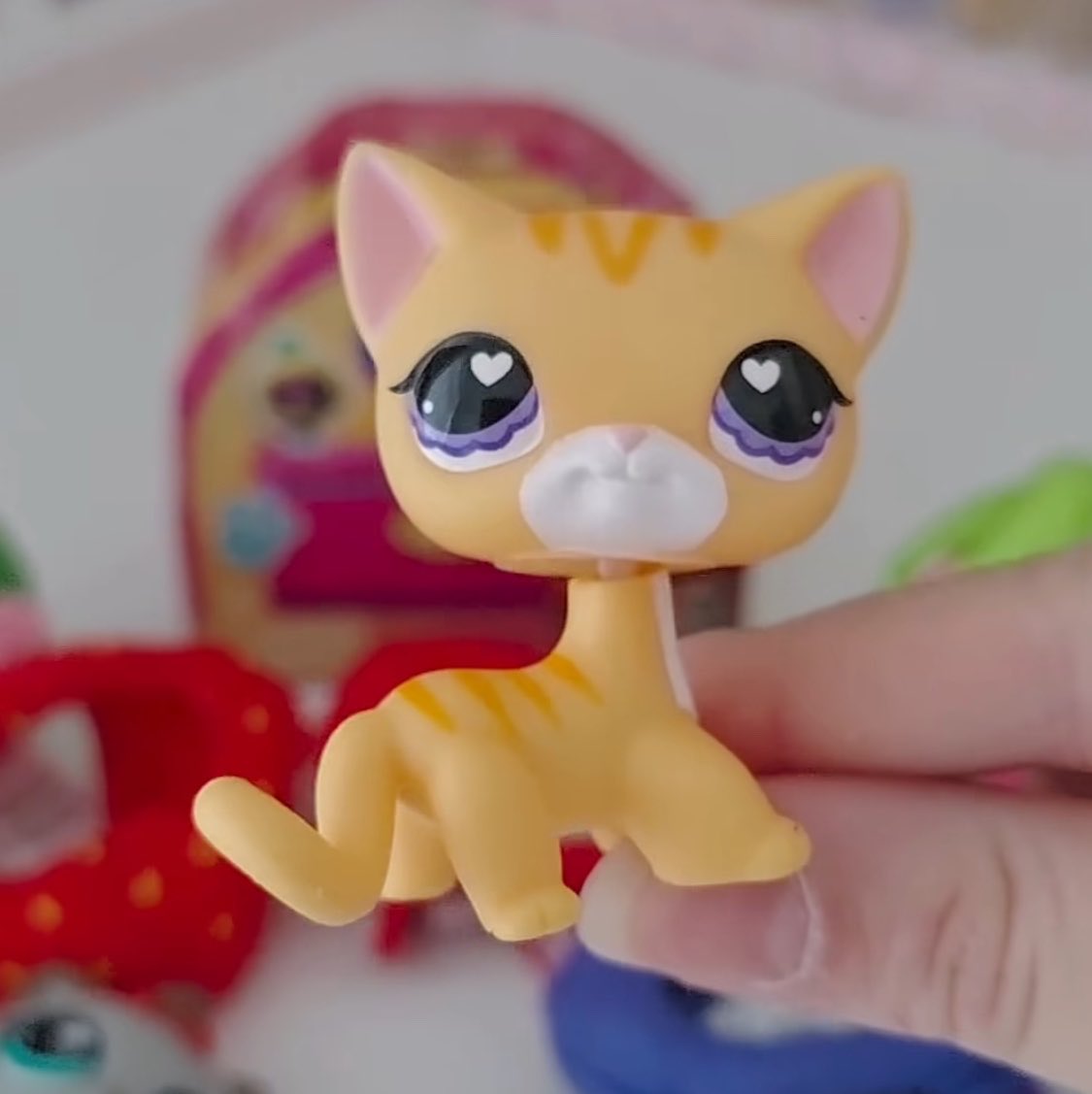 jetnightly's tweet photo. i LOVE the new lps g7 shorthair cat i Neeeeedddd her immediately !!!! 😍 https://t.co/wtBIzZ0bJo