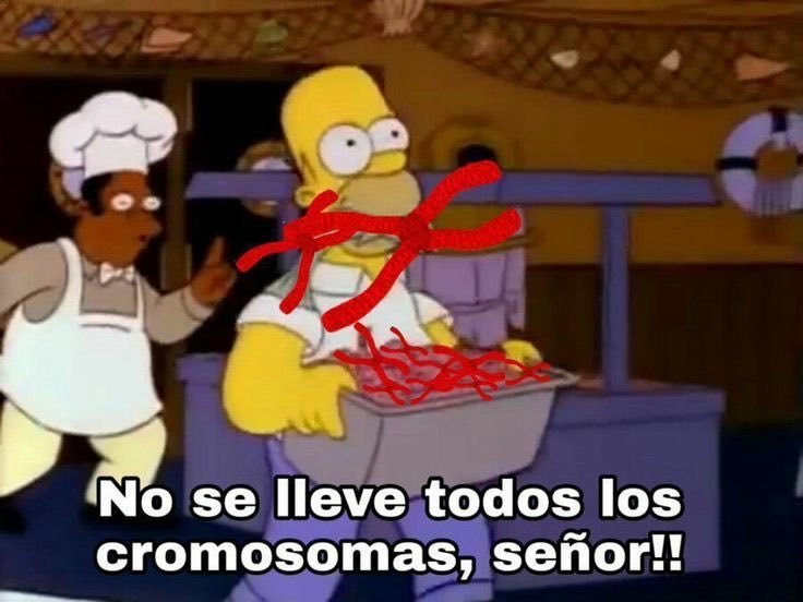 vandxllion's tweet photo. https://t.co/XdRAN0NscJ