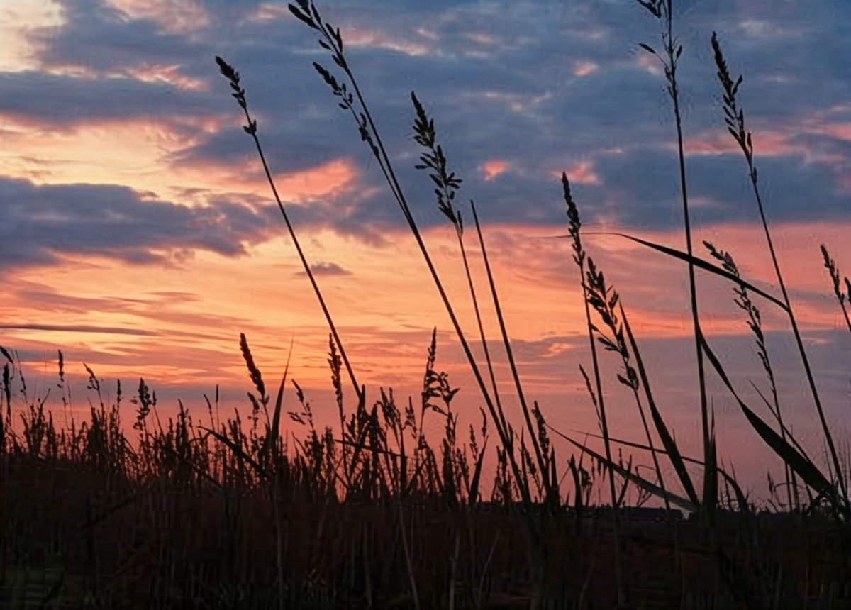 ThePoetryMan_'s tweet photo. Twilight Approaching
dusk arrives, day fades
darkness extinguishes light
the earth falls silent
#Haiku #Senryu #Micropoetry #sunset https://t.co/HZgt73BwMi