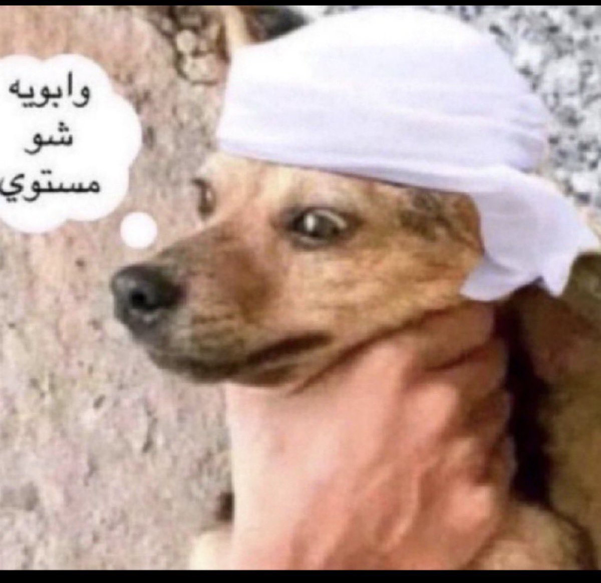2xlu7's tweet photo. #السعودية_الإمارات https://t.co/DYniu2bV3d