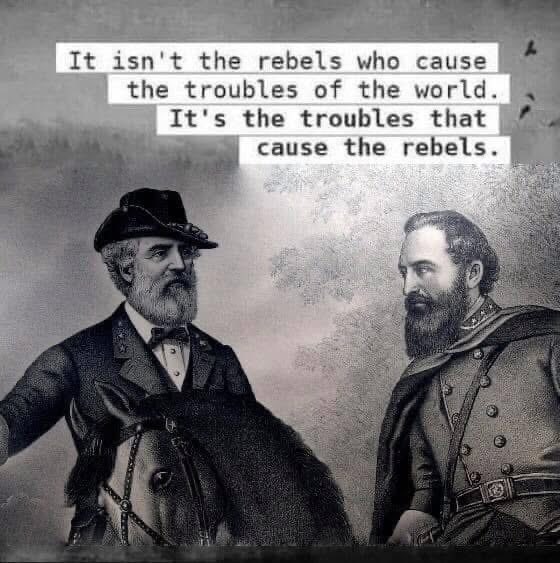 thevaflaggers's tweet photo. Absolute truth!  #ProudRebel https://t.co/Kf9kalku7J