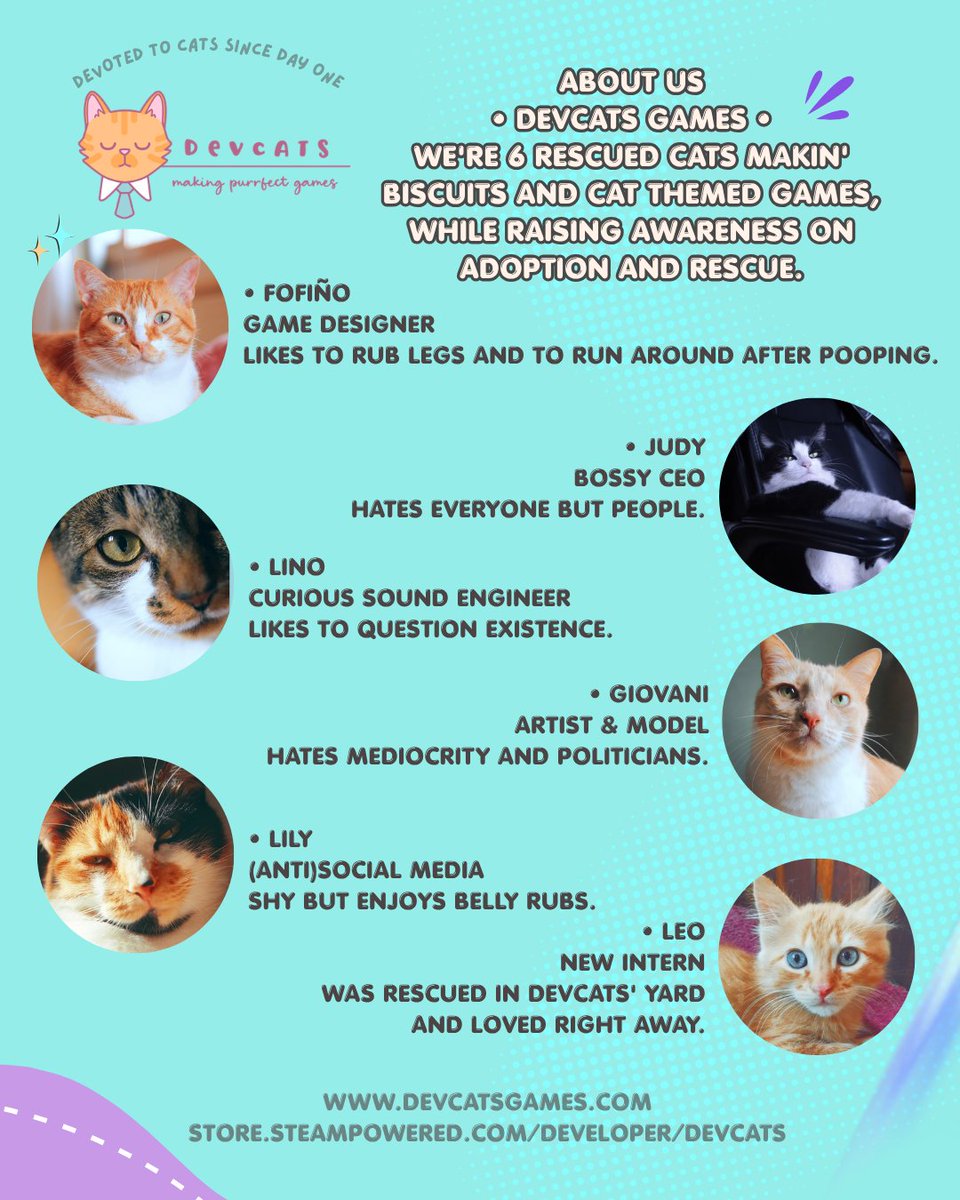 devcatsgames's tweet photo. https://t.co/prKdZD4MtX