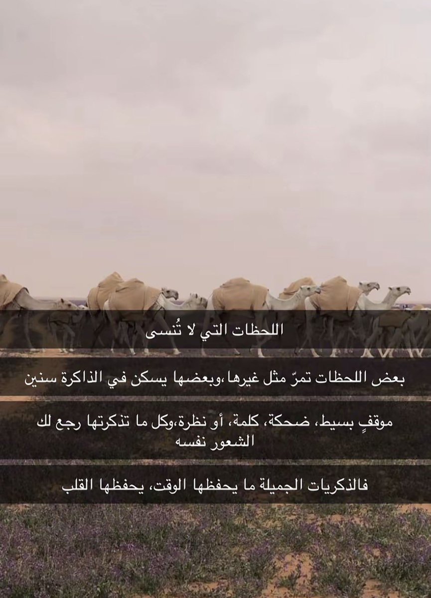 7pmws's tweet photo. يحفضـها القلــبّ » https://t.co/1gzmgZ4m9P