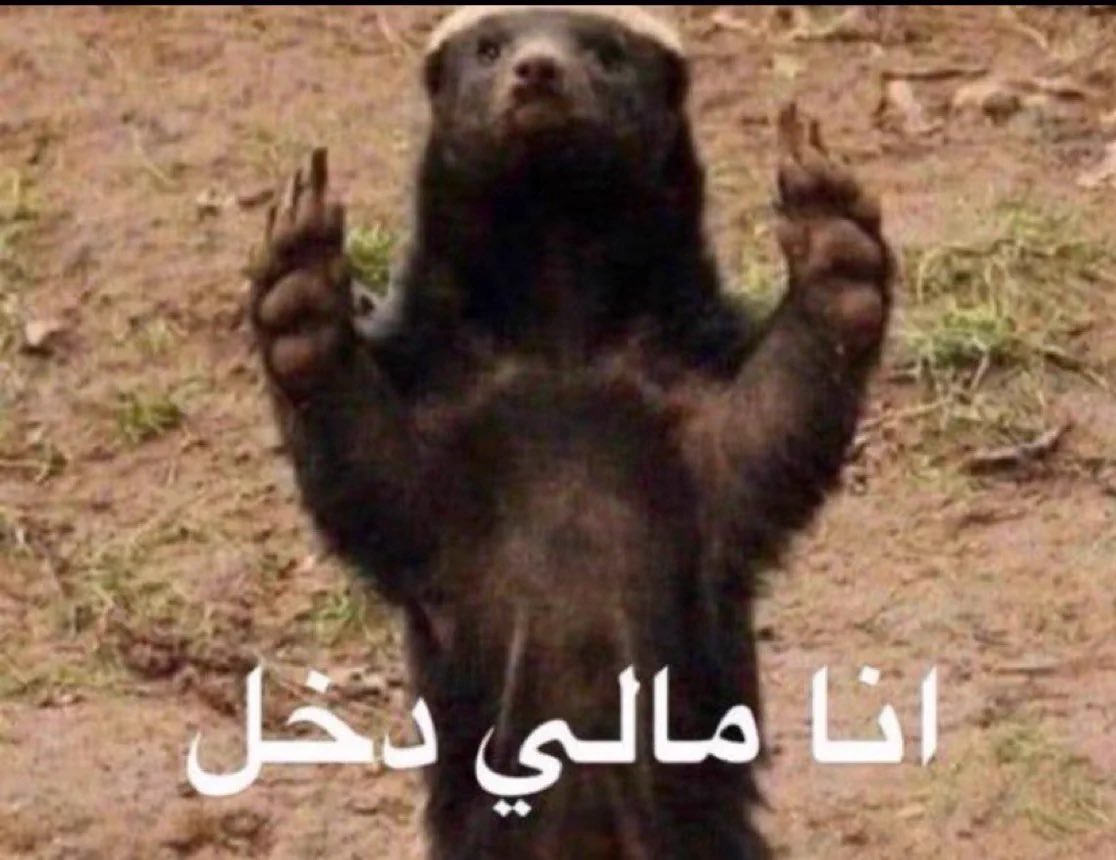 Zei001na's tweet photo. النسويات بعد ما الحكومه مسكو سارة https://t.co/mGtVZk0nFG