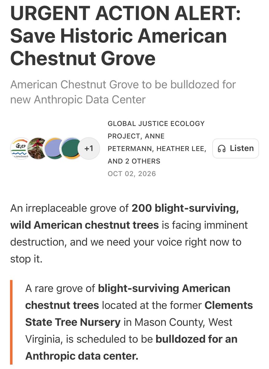 Wendigoon8's tweet photo. One of the only existing groves of American Chestnut trees is scheduled to be destroyed next month to make room for a datacenter. I made an entire video about what this tree meant and the efforts to bring it back that have lasted decades. Consumption knows nothing of sacrament. https://t.co/bXUmiCnrN4