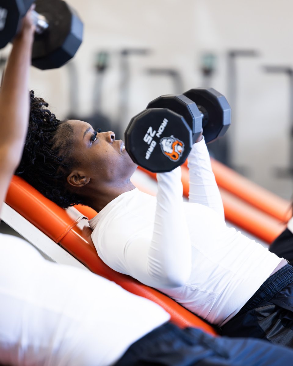 Bearkats_WBB's tweet photo. Building season
#EatEmUpKats | #BePartOfIt https://t.co/WXvk5N3MB1