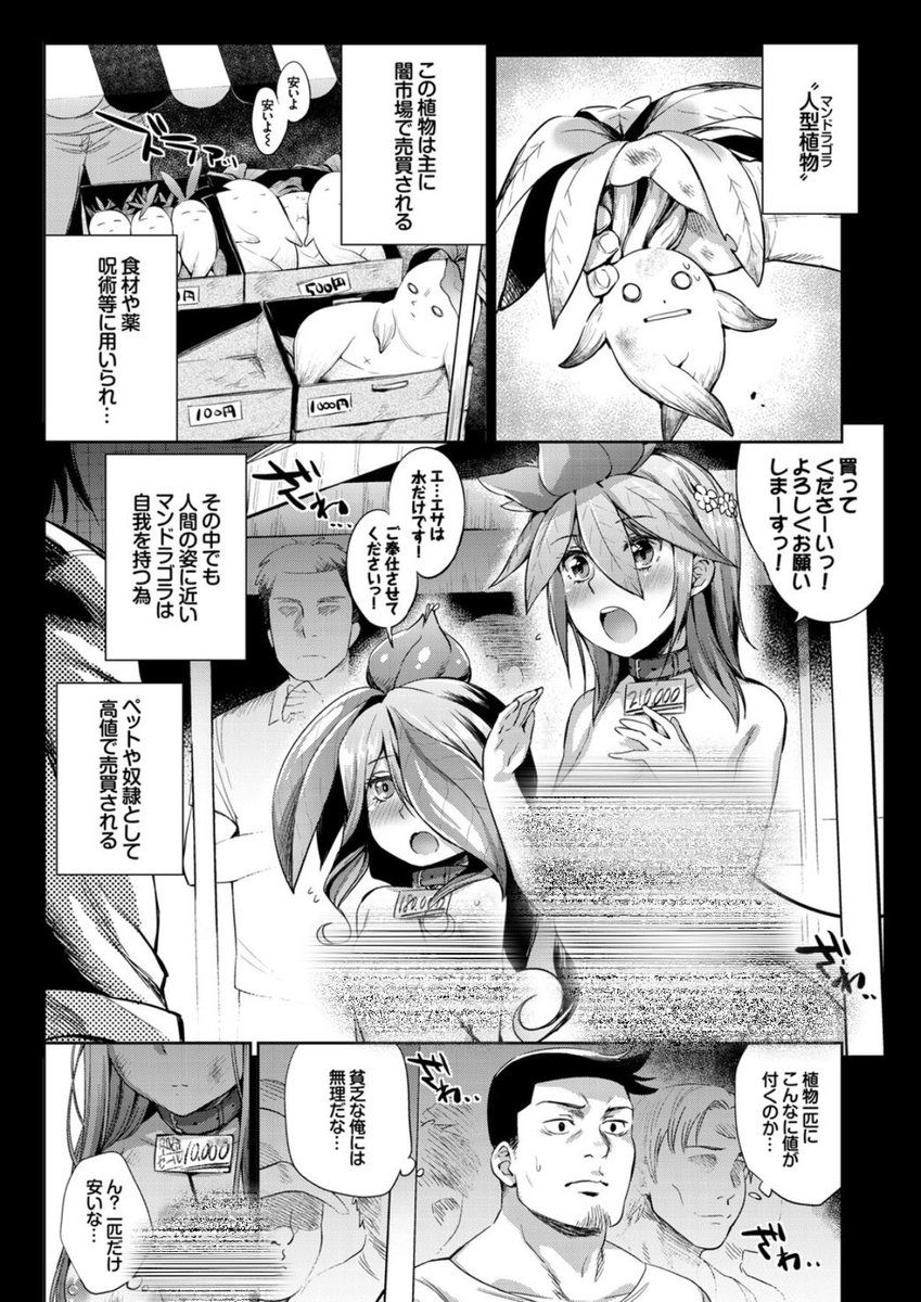 SavooOtb's tweet photo. 闇市場で売買されてるもの
(1/8) SFW https://t.co/4ms42zGqbV