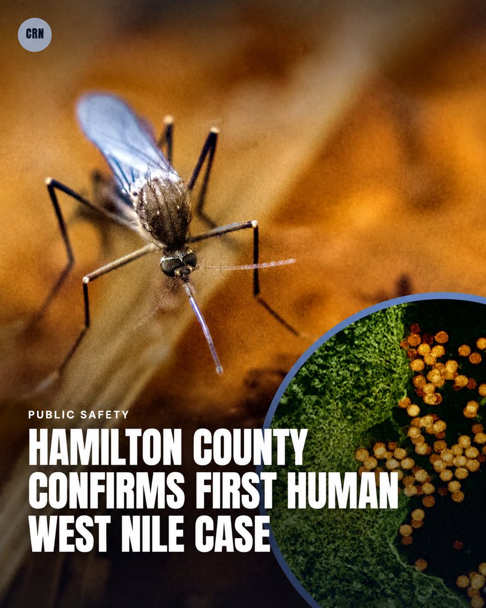 CincyRegional's tweet photo. Hamilton County has confirmed its first human case of West Nile virus. Health officials are sharing what residents should know as mosquito season continues. 

Learn more: https://t.co/JCZTCfcZqr

 #Cincinnati #WestNileVirus #HamiltonCounty #CincinnatiRegionalNews https://t.co/kNTiPSFF0P