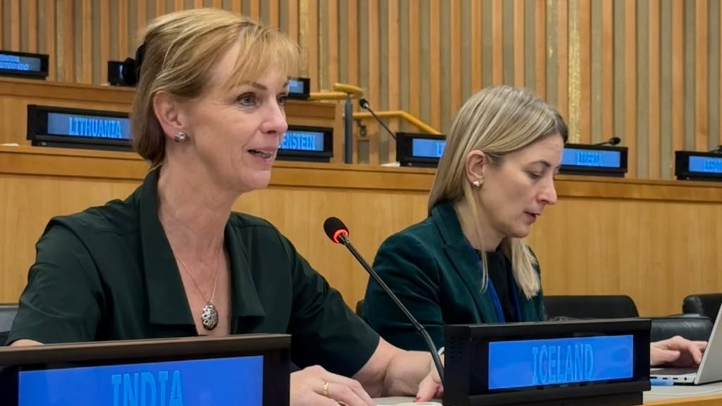 IcelandUN's tweet photo. At #2C #UNGA81 General Debate, 🇮🇸PR @annajohannsd emphasised the importance of domestic resource mobilisation while building strong and transparent institutions &amp; aligning financial flows with the #SDGs. 

See the full statement here: https://t.co/GsXF3pMNiM https://t.co/AVjjONnZQG