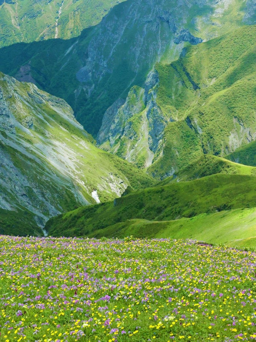 reminiscinbby's tweet photo. Xinjiang, China https://t.co/Y89py5FEGI
