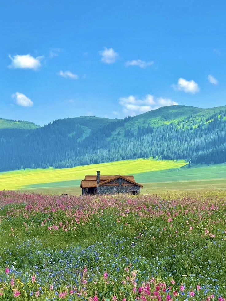 reminiscinbby's tweet photo. Xinjiang, China https://t.co/Y89py5FEGI