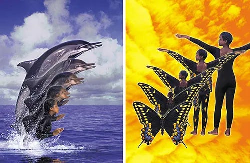 davidmattingly's tweet photo. I just wrote a Substack post about the Animorph characters' clothing, titled “Animorphs: What Happened to the Morphing Characters’ Clothes?” You can read it here, complete with illustrations: https://t.co/4oYT1CqKiY https://t.co/g3rJBbVYIL