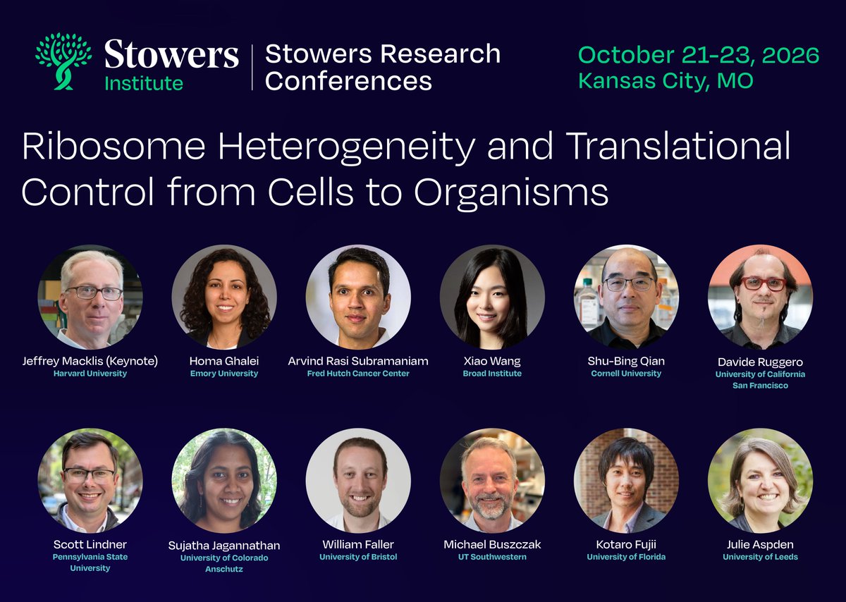 ScienceStowers's tweet photo. Discover the newest tools transforming translational biology—from advanced ribosome profiling and proteomics to innovative imaging and functional genomics. 🧬

Join us at the 2026 Stowers Research Conference, #SRKC26.

Register now: https://t.co/l5udkSaWDs https://t.co/iquwr93XRS