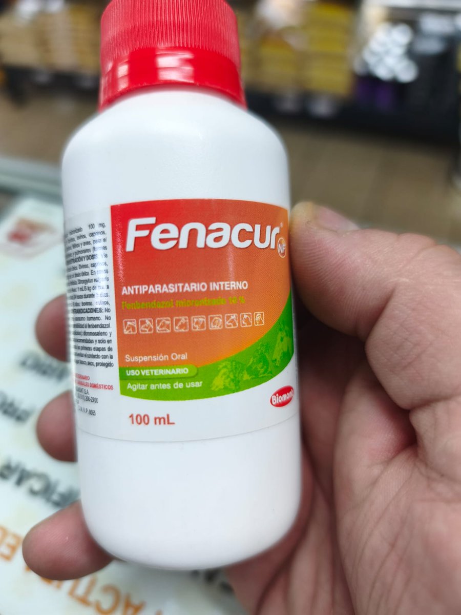 franklin_arce's tweet photo. @DrDavidivw Thank you @DrDavidivw for all the information. I cannot find Fenbendazole in capsule form, only as a 10% liquid solution, 222 mg is equivalent to 0.22 ml. Is it okay to take that amount of the liquid, or should I increase the dosage because it is diluted to 10%? God bless you https://t.co/ju3Ib3Su1i