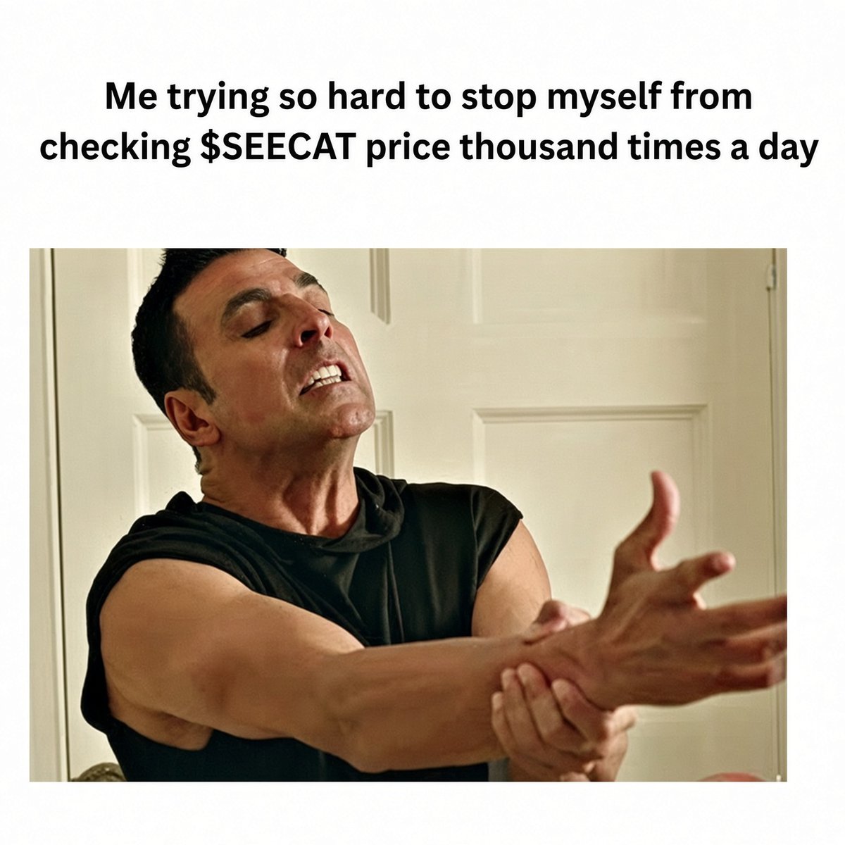 robrayofficial's tweet photo. Me trying so hard to stop myself from checking $SEECAT price thousand times a day.

GN famz 🫩 https://t.co/10vhdTqqRx