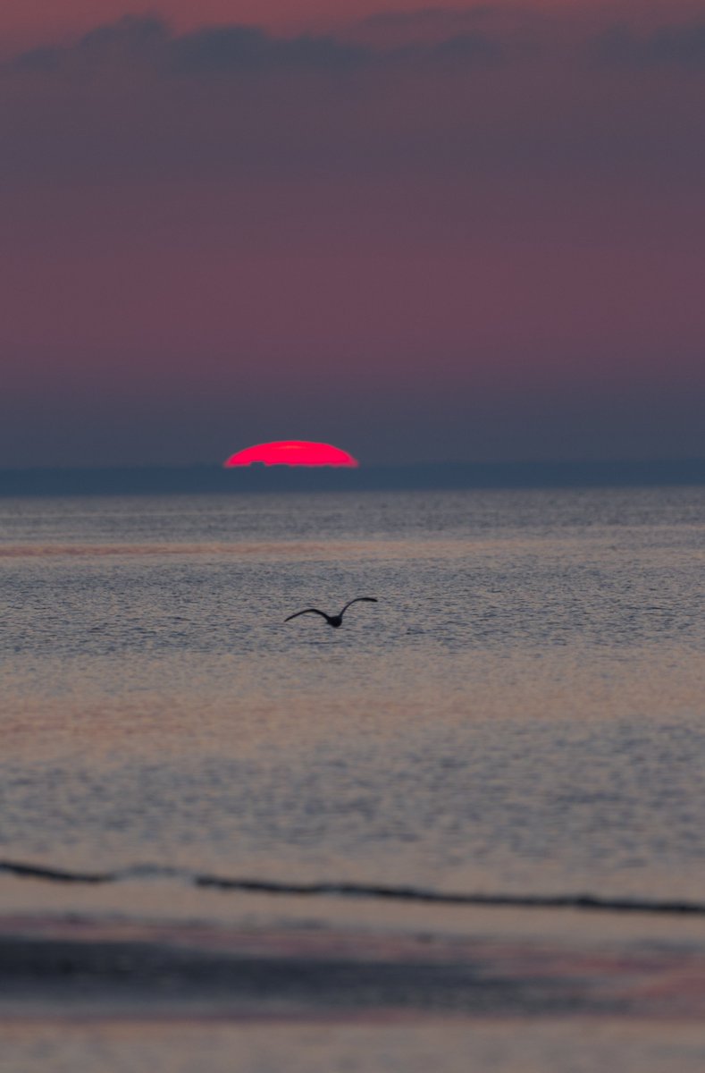Run_fly_Smile's tweet photo. Evening lights ๐
Baltic Sea
Latvia ๐ฑ๐ป
#Latvia #Sea #BalticSea #Sunset https://t.co/UBDj3qgzkZ