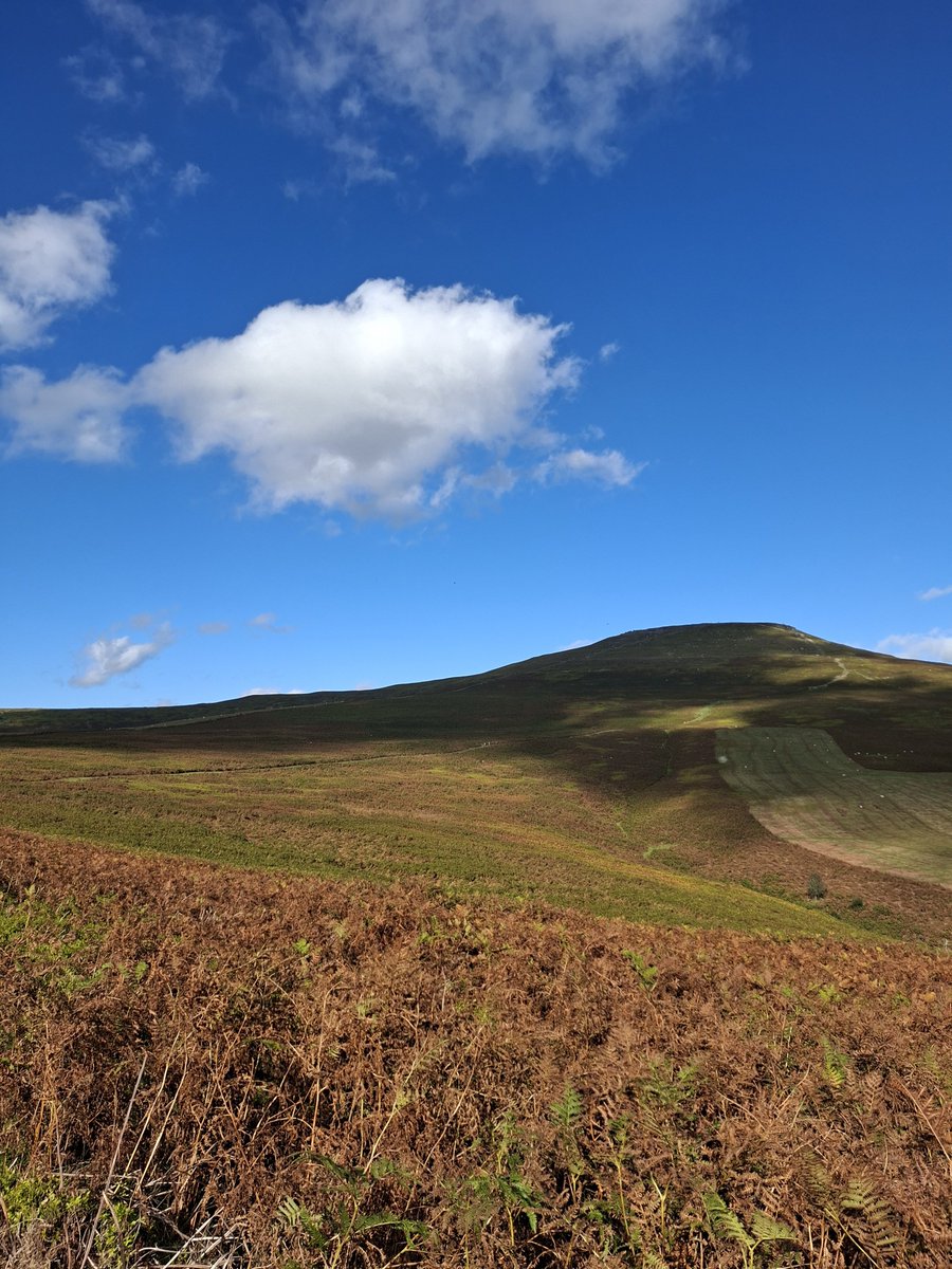 Kaulofthewilduk's tweet photo. On Saturday, some of my @unibirmingham friends and I walked up Pen y Fal/Sugar Loaf.

We weaved our way through the rolling Monmouthshire countryside, beneath gnarled veteran trees, surrounded by soaring Red Kites.

Still feeling it in my legs and feet but what a magical day! https://t.co/v7wkT5im8G