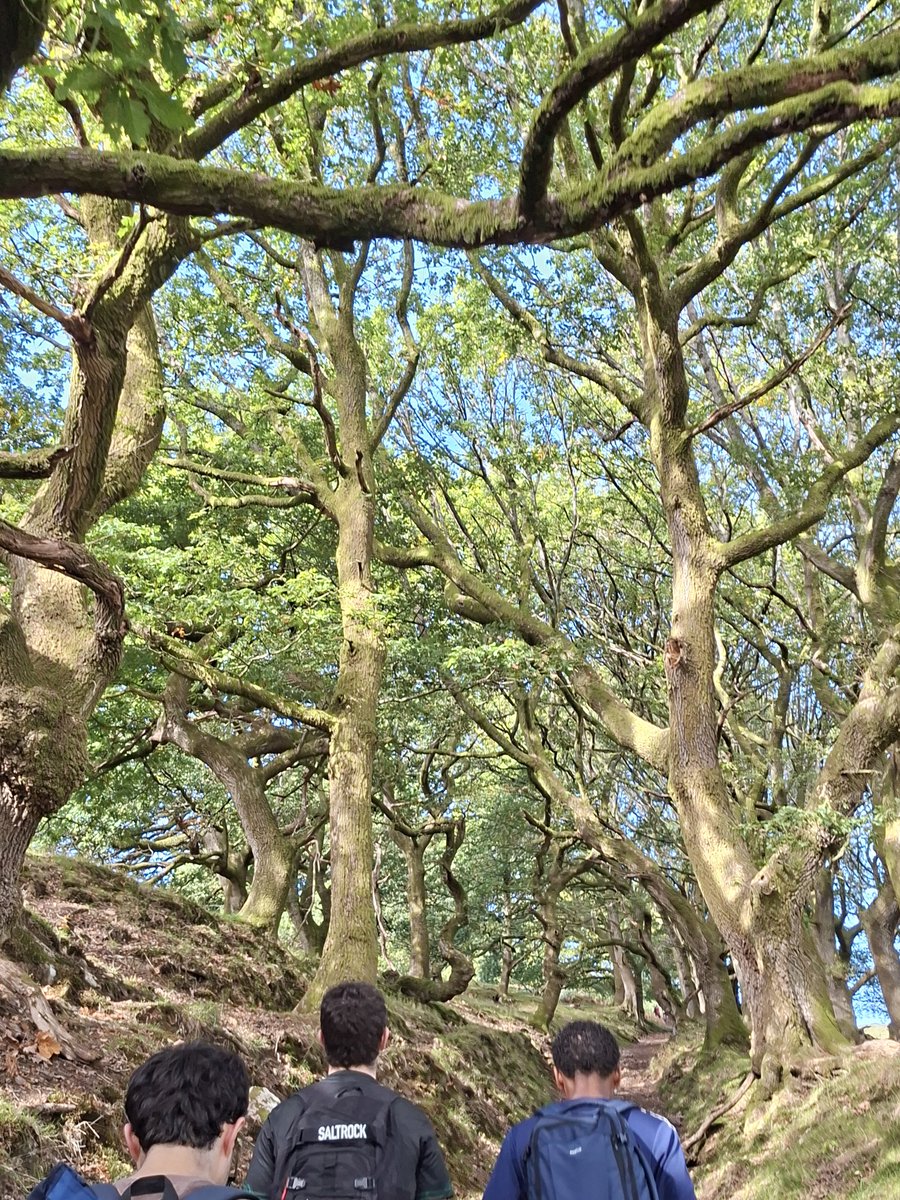 Kaulofthewilduk's tweet photo. On Saturday, some of my @unibirmingham friends and I walked up Pen y Fal/Sugar Loaf.

We weaved our way through the rolling Monmouthshire countryside, beneath gnarled veteran trees, surrounded by soaring Red Kites.

Still feeling it in my legs and feet but what a magical day! https://t.co/v7wkT5im8G