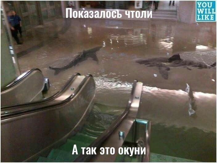 Graznitapok's tweet photo. Сны во время больничного: https://t.co/eIgor8u4sM