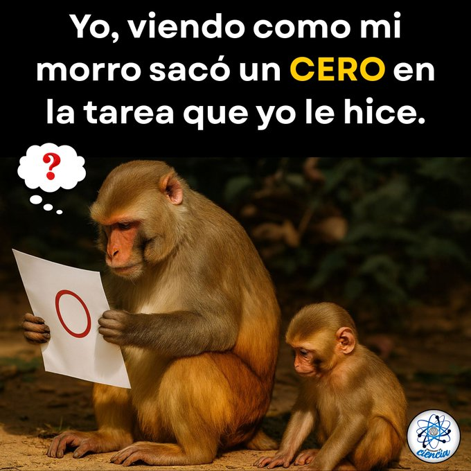 VecinosCDMX___'s tweet photo. Momento momento que paso ahi? https://t.co/5s1NHwuKAz