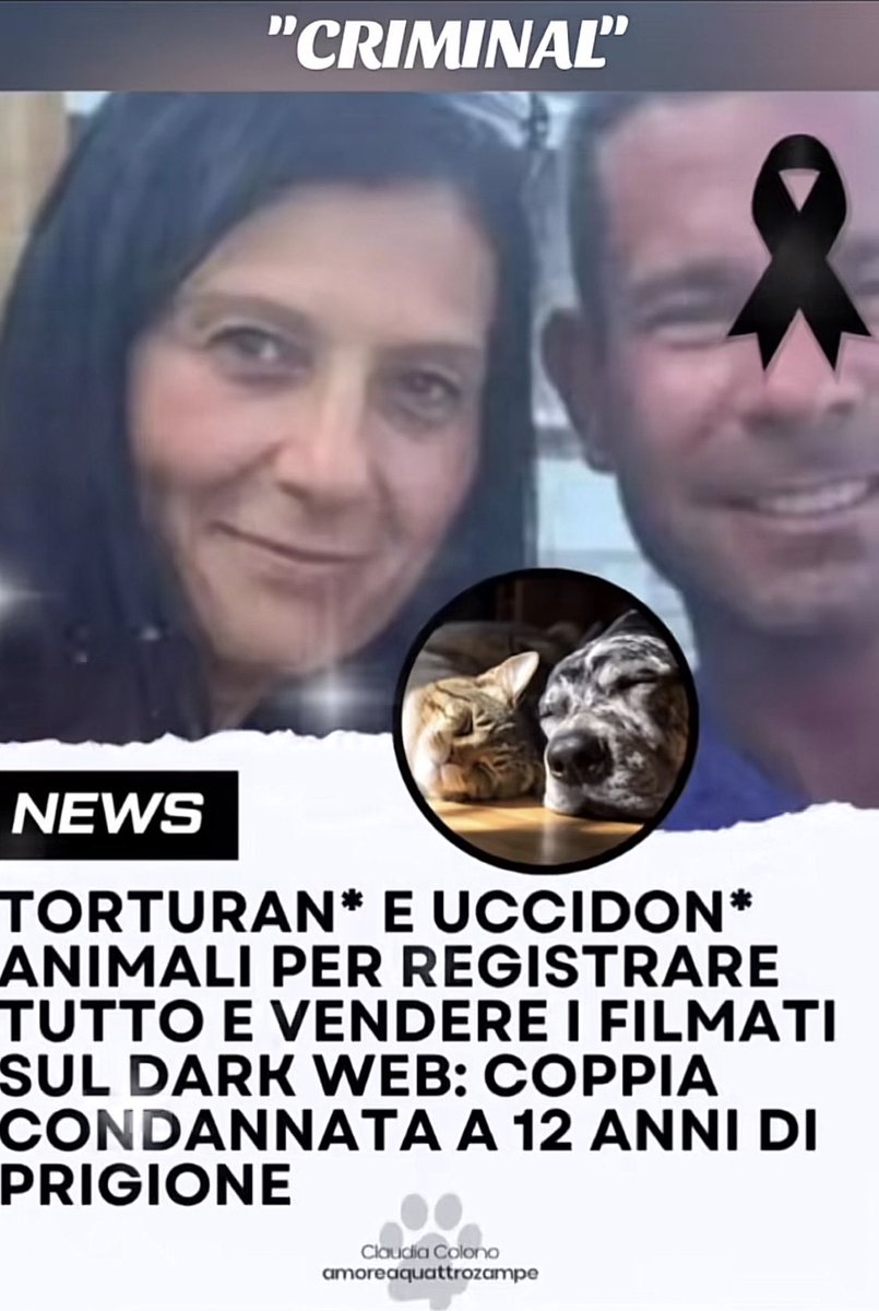 FabioZfz9's tweet photo. Pena giusta esecuzione immediata! https://t.co/TWHuM3Oxhu
