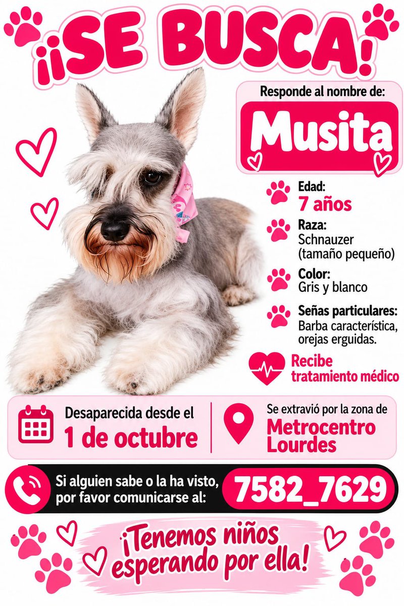 SivarNewsSV's tweet photo. 🔴 SE BUSCA A MUSITA, PERRITA EXTRAVIADA EN LOURDES, COLÓN

🐶 Musita, una schnauzer pequeña de 7 años, está desaparecida desde el 1 de octubre. Se perdió por la zona de Metrocentro Lourdes, en el distrito de Colón, La Libertad Oeste.

🤍 Es gris y blanca, tiene las orejas erguidas y una barba característica. Responde al nombre de Musita y recibe tratamiento médico. Sus niños la esperan en casa.

📞 Si alguien la ha visto o tiene información, puede llamar al 7582-7629.
