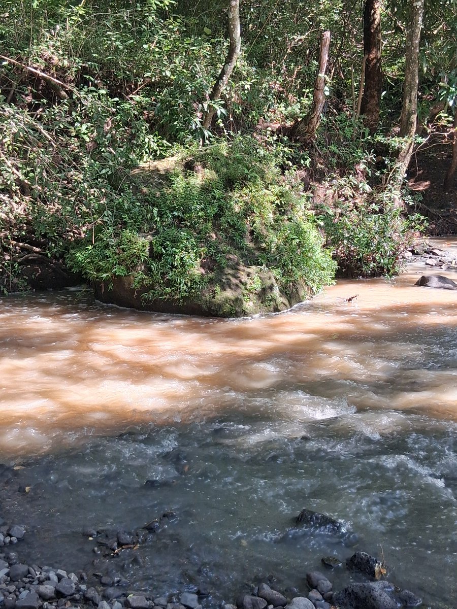 AMAESsv's tweet photo. Las participantes también realizaron una recolección de basura que deja el turismo en la zona, reafirmando así su compromiso con el cuidado de la casa común. https://t.co/X85JqdGkk1