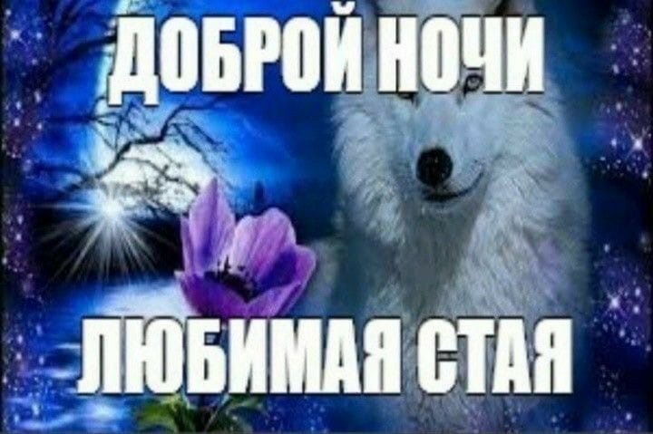 mirexi00's tweet photo. https://t.co/x60olodyP5