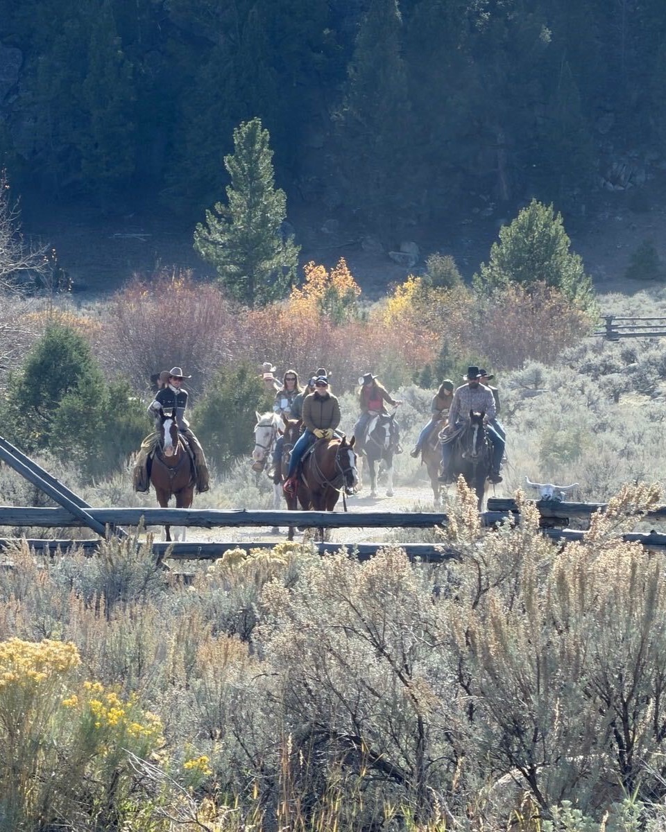 SOWW_Charity's tweet photo. Our Women's Retreat was built for the female SOF Veteran. Days on horseback and on the trail, evenings spent with women who understand the job and the life after it. 

Time to connect, recharge, and just breathe.

#soww #sowwcharity #womensretreat https://t.co/rsPjnnAhQ5