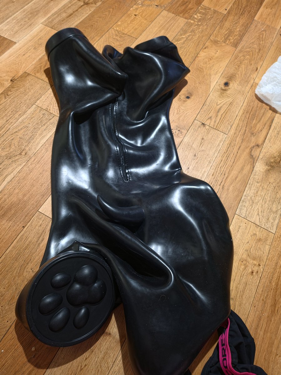 ermidunno's tweet photo. Toss of a coin as to whether I or someone else should go in the new pup suit. Should we take a vote? 😅 https://t.co/OzLcQcrhvx