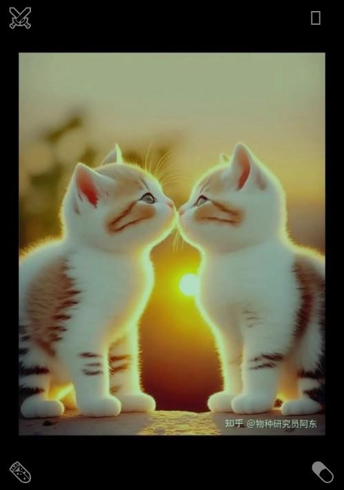 fred24635836405's tweet photo. As the afternoon turns to evening, I decide to head back to Brighton. I stop at a viewpoint along the way, where I can see the ocean and the surrounding hills. I take a few photos, capturing the beauty of the sunset once again.🏜Strength is gentle but unbreakable. https://t.co/Sa7Ghhiu5m