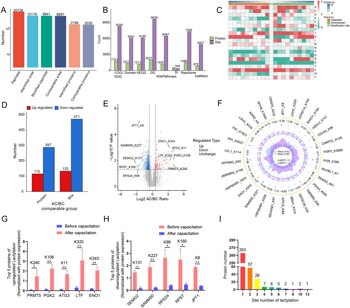 molcellprot's tweet photo. In MCP press| Comparative Lactylomic Profiling Unveils Dynamic Reprogramming of Post-Translational Lactylation Landscapes During Human Sperm Capacitation.
Learn more:
https://t.co/LiSQ3Fvk60
#MolCellProt https://t.co/jYlSlfV81b