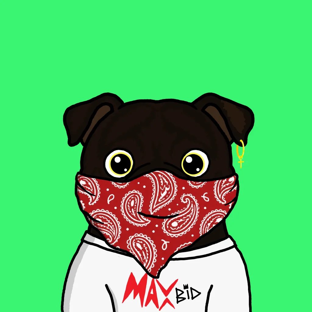 CarpXRPL's tweet photo. @HNmetax @Maxthedog77 MaxBid https://t.co/Iil6F3a9cg