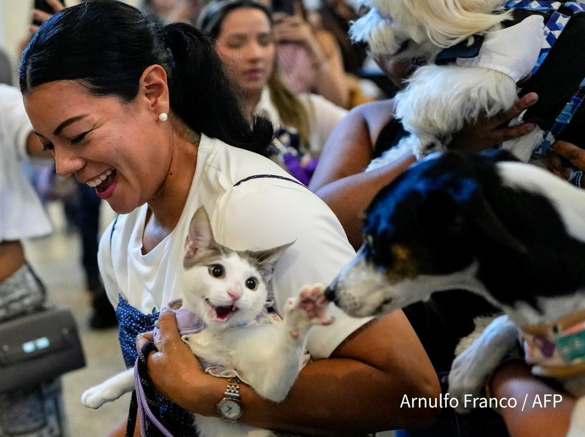 LorenzoTheCat's tweet photo. At the Blessing of the Animals yesterday in Panama City, Panama. https://t.co/pNIdNlzJEv