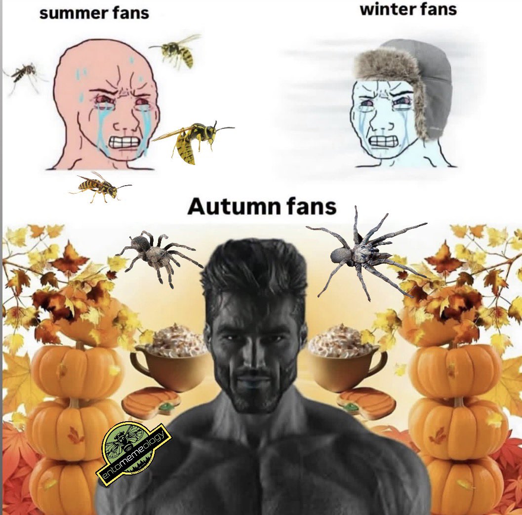 entomemeology's tweet photo. Who else is a slut for October? https://t.co/QZKM0UHgJh