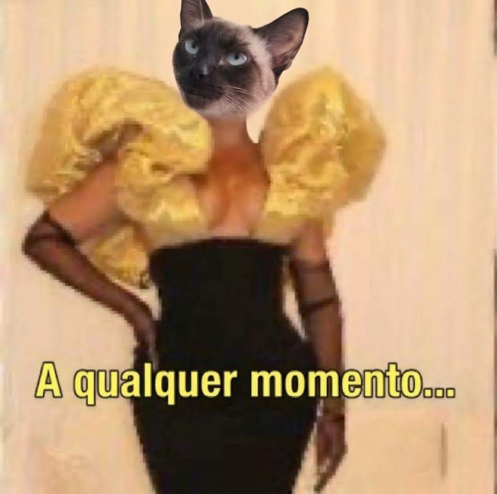 usuariodepolo's tweet photo. Que dia que essa safada vai entrar em trabalho de parto? Todo dia é uma tensão... https://t.co/oIzj6ER2op