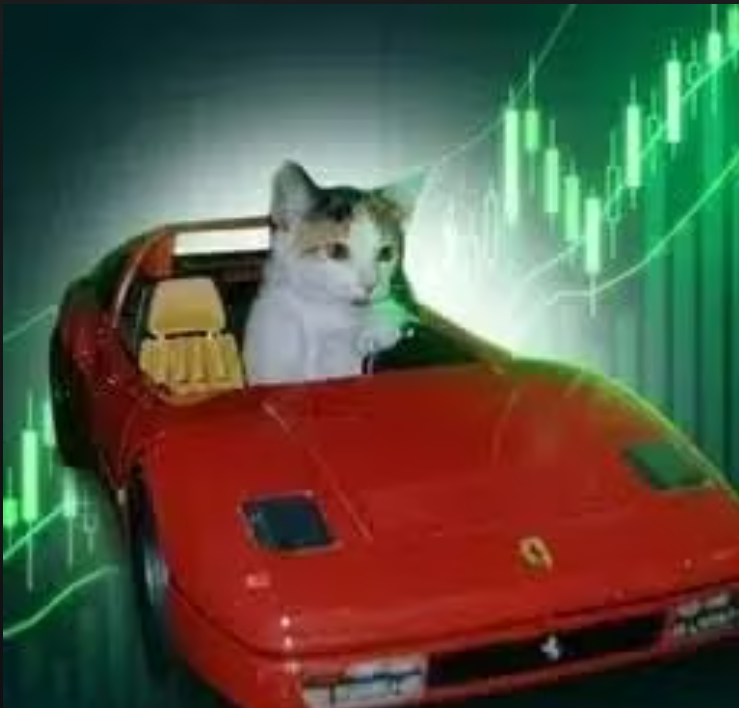 Bilngineerr's tweet photo. “NO RISK, NO RARI” one of the most iconic CT memes.

Now Pumpfun just added Ferrari stock.

So risk it in $RARI to get the Rari. 🏎️ https://t.co/RWlUKKyWMw