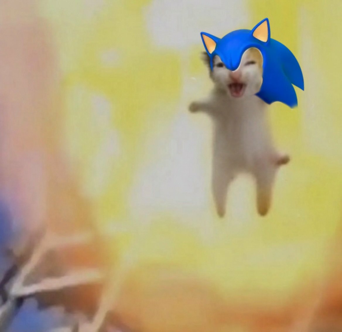 KobeManX8's tweet photo. TERIAAAAAAAAAAAAAAAAAAAAAA!!!!!!!!

-Sonic from Sonic Adventure 2 https://t.co/a1ihViqefU
