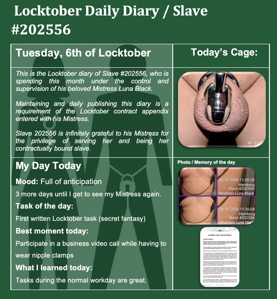 Slave202556's tweet photo. @misslunablackk #locktoberSL202556 #Locktober #FLR #devotion #chastity #locked #slave #domination #mistress #cagecheck https://t.co/ve0YVoSIVG