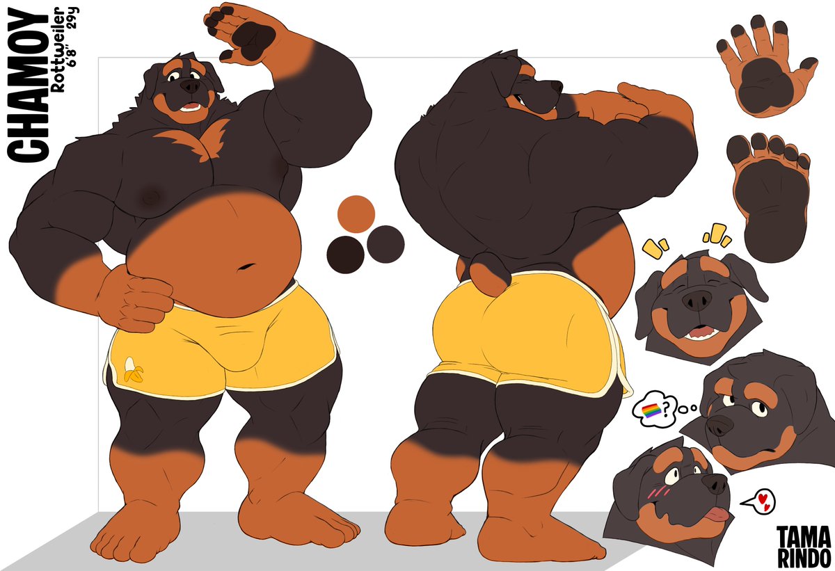 TamarindoHusky's tweet photo. I finally managed to make a decent reference sheet for my beautiful, huge dog 🧡✨

Time to get back to commissions haha

Sorry, I just needed to draw something for myself ^^' https://t.co/ZFF9rkHHfC