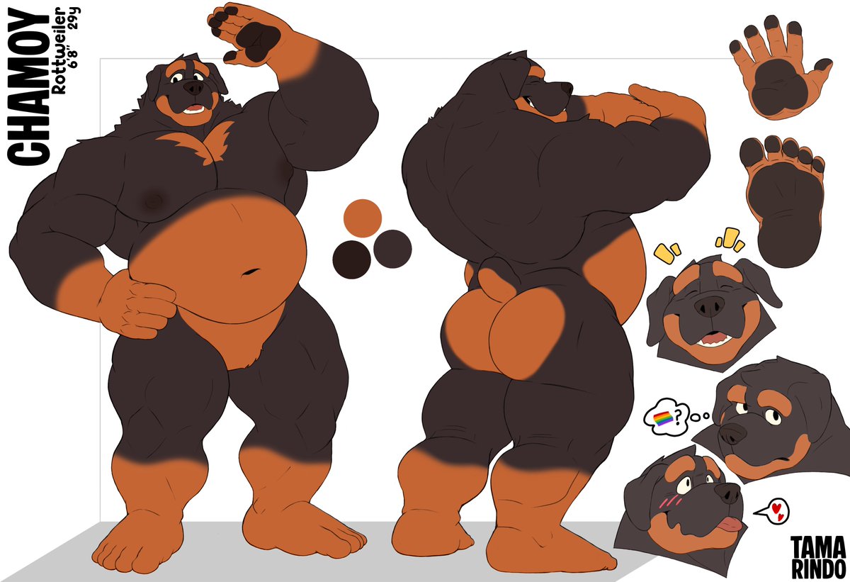 TamarindoHusky's tweet photo. I finally managed to make a decent reference sheet for my beautiful, huge dog 🧡✨

Time to get back to commissions haha

Sorry, I just needed to draw something for myself ^^' https://t.co/ZFF9rkHHfC