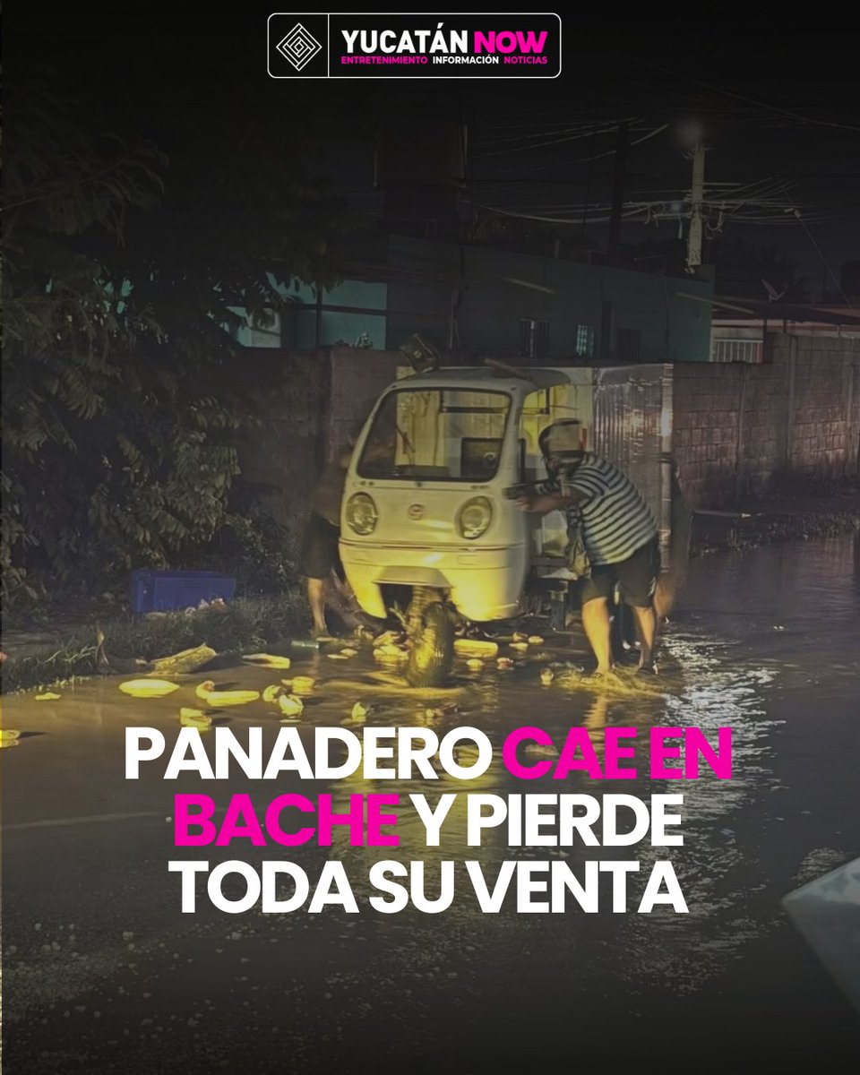 Yucatan_Now's tweet photo. Panadero CAE EN BACHE y termina con el pan regado en la calle 🥖⬇️

#Viral
Un panadero sufrió un accidente cuando circulaba por calles de la colonia Reparto Granjas y cayó en un enorme bache.

El percance provocó que el pan que transportaba terminara regado sobre la vialidad, ocasionando la pérdida de toda su venta del día.

El trabajador relató que únicamente sufrió algunos golpes y raspones, además de daños materiales.

El caso quedó expuesto en redes sociales, donde usuarios lamentaron que el hombre perdiera el producto con el que buscaba llevar el sustento a su familia.

#YucatánNow