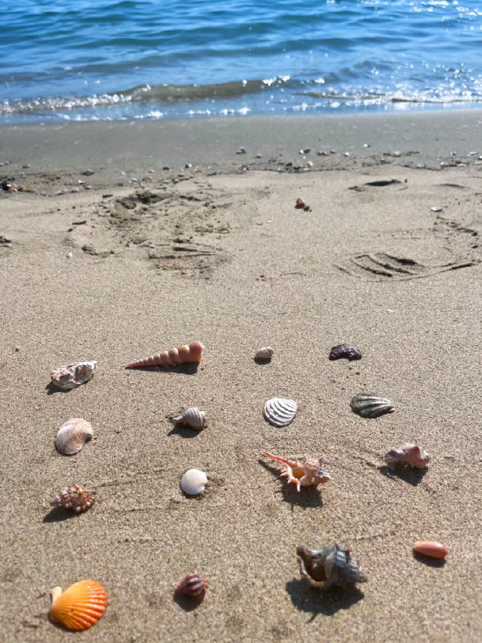 Loinsa_'s tweet photo. [Chlorine, zinc, and seagulls by the sea—small joys that turn a daily walk into a little highlight!]， https://t.co/IzFxSVWMoC