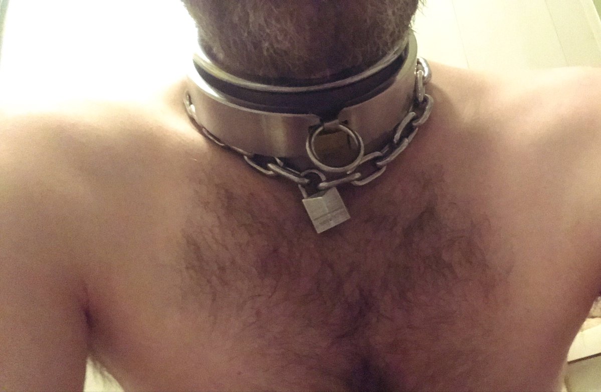 Chastityinie's tweet photo. Another day Collared for locktober🔒 https://t.co/Pk7yqgtD2s
