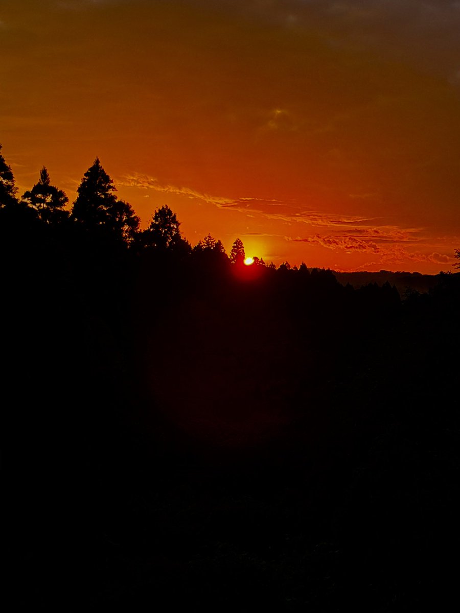 yanagimantarow's tweet photo. オレがむかし　夕焼けだったころ
–松鶴家千とせ先生–

夕焼け。千葉県市原市版。 https://t.co/KKKNTtAcXu