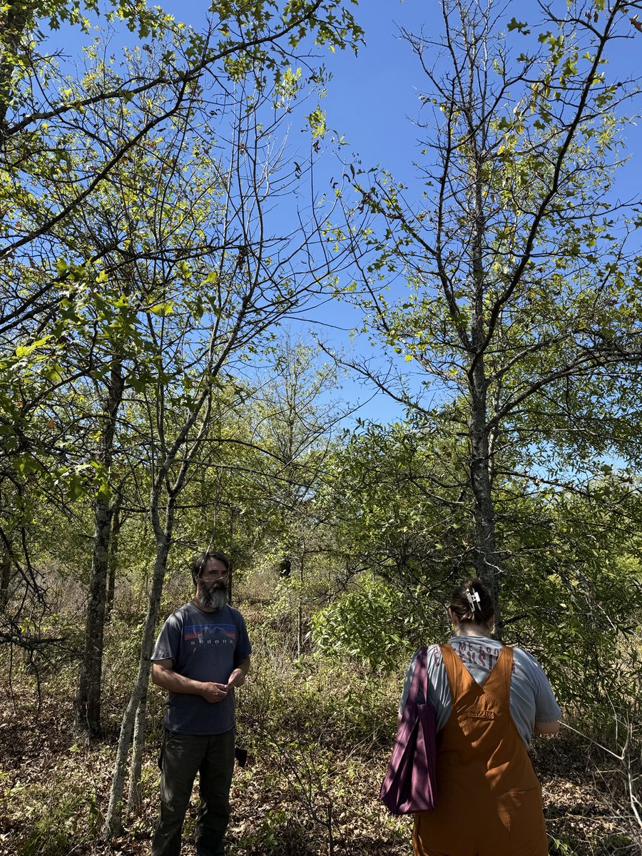 MSUextPlantLab's tweet photo. Spent the afternoon in the Delta with Dr. Kristy McAndrew’s lab looking at some stands of ash. Prolonged drought stress is taking a toll on a wide variety trees in this region of the state and is predisposing them to insect and disease problems. #MSUext https://t.co/m73DNu2kq5