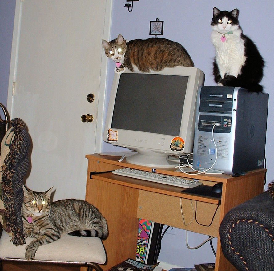 OldInternetFeel's tweet photo. 2002 https://t.co/it05SZLwwQ